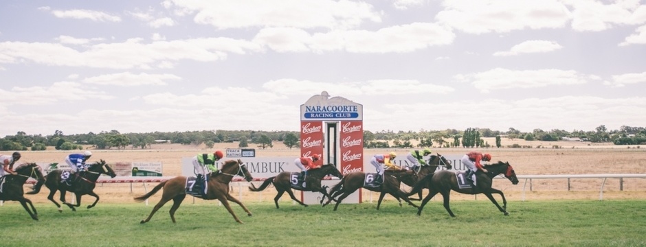 Rte Racing Naracoorte Racing Club - Country Horse Racing SE South Australia