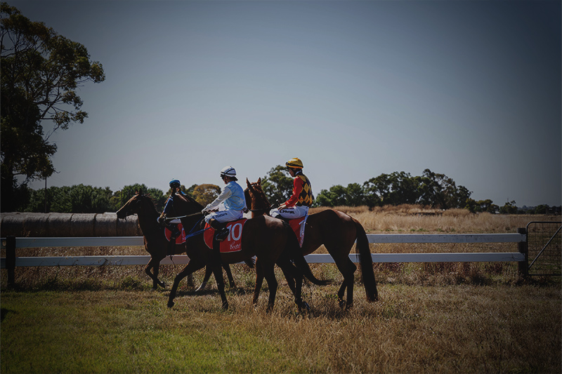 Rte Racing Contact - Naracoorte Racing Club