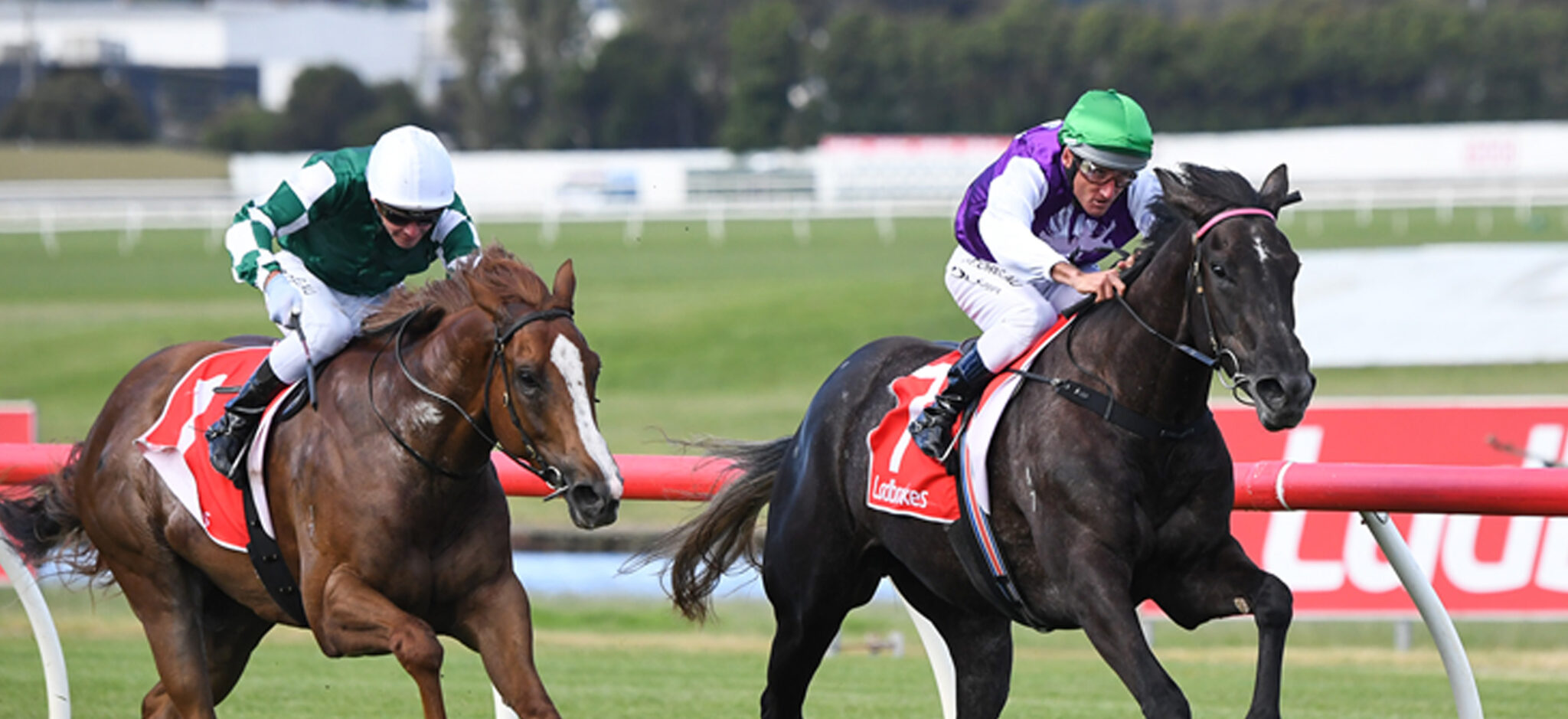 Rte Racing MiniJumbuk Naracoorte Cup - Naracoorte Racing Club